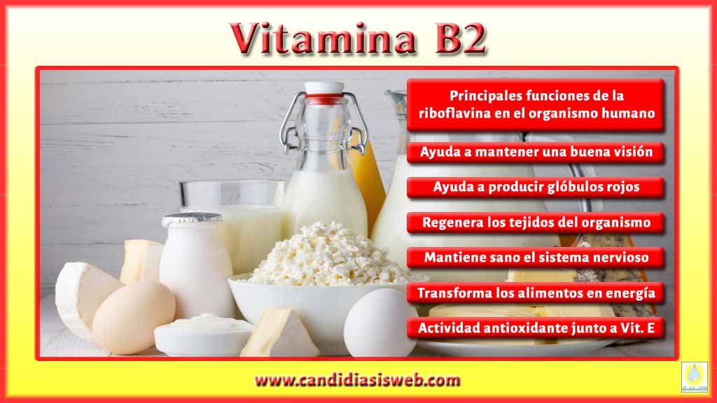 Vitaminas Vitamina B2