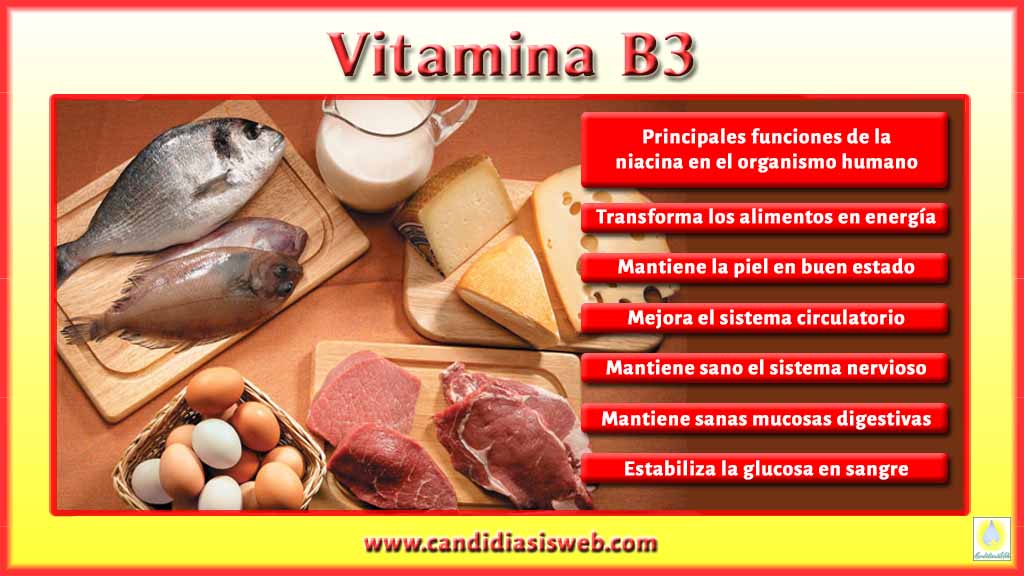Vitaminas Vitamina B3