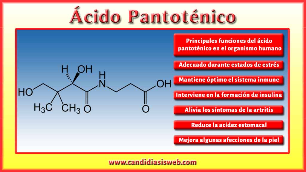Vitaminas Vitamina B5