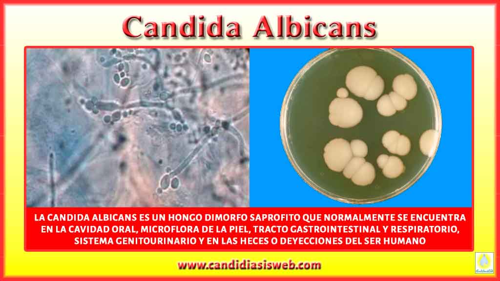 Las revocaciones del ungüento el rey de la piel de la psoriasis