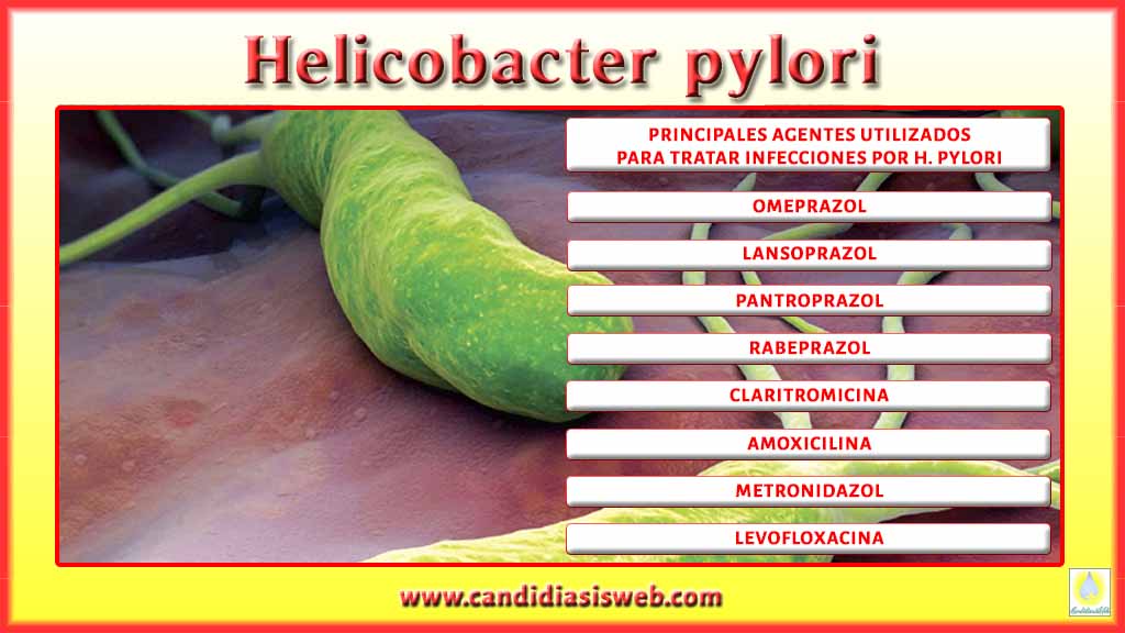 Qu Es Helicobacter Pylori 4225 | The Best Porn Website