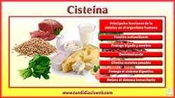 Cisteína