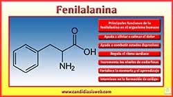 Fenilalanina