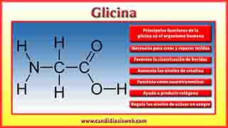 Glicina