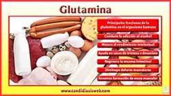 Glutamina