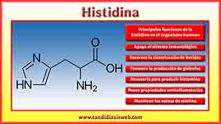 Histidina