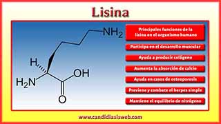 Lisina