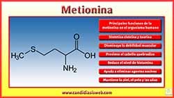 Metionina