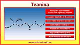Teanina
