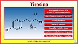 Tirosina