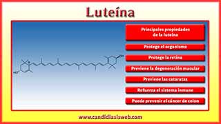 Luteína