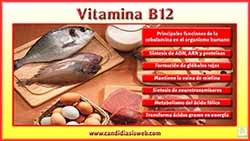 Vitamina B12