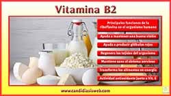 Vitamina B2