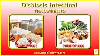 Disbiosis Intestinal