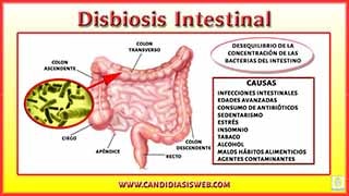 Disbiosis Intestinal