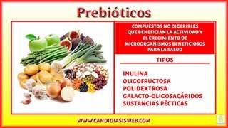 Prebióticos