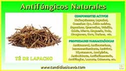 Lapacho o Pau d'arco