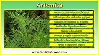 Artemisa