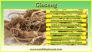Ginseng
