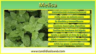 Melisa