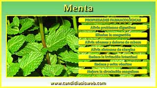 Menta