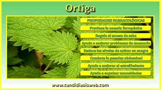Ortiga
