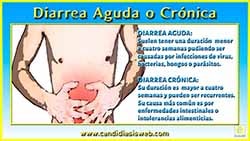 Diarrea Aguda o Crónica